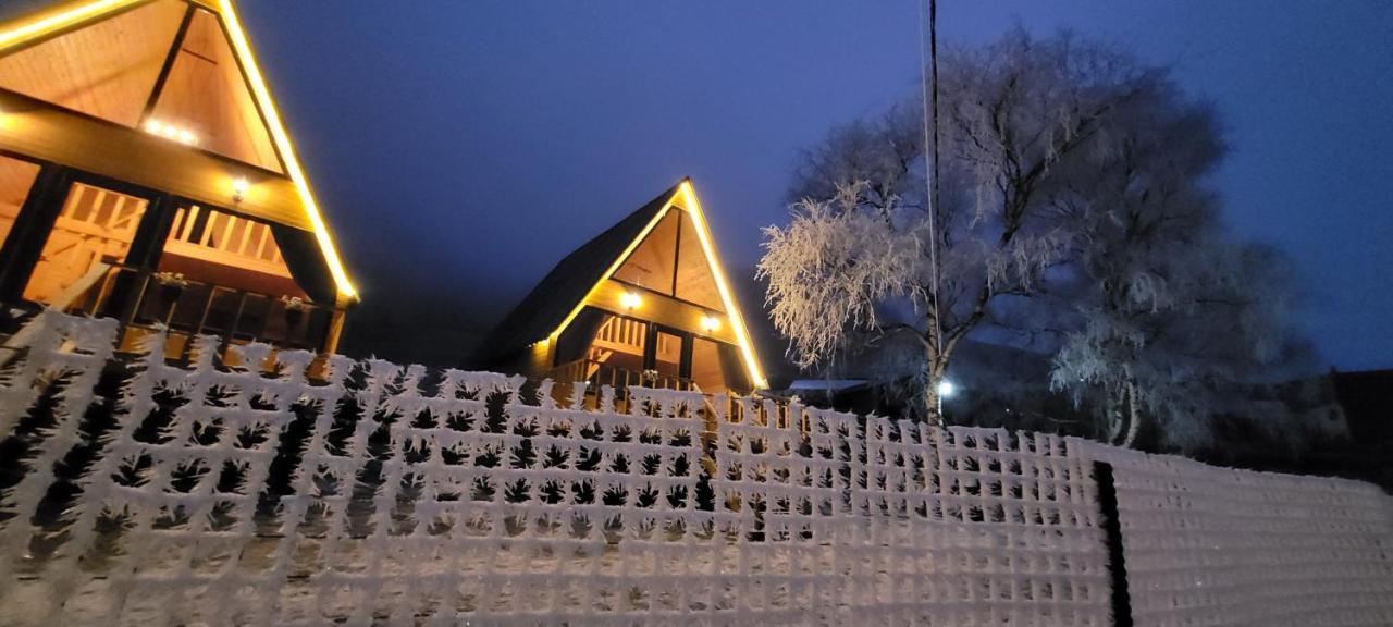 Pine Daire Kazbegi