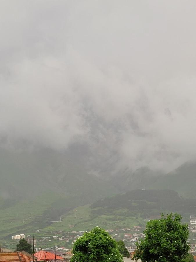 Pine Daire Kazbegi